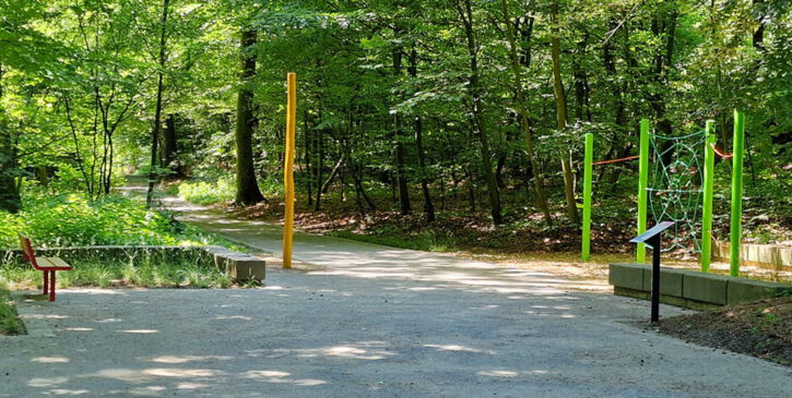 Stabil und elastisch wie ein Baum - eine von 10 Natur-, Lehr- und Bewegungspfad Stationen im Revierpark Vonderort Oberhausen